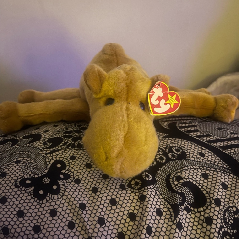 beanie baby, retired Humphrey the camel. very rare, hard to find.